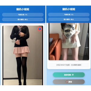 随机美女热舞全新 UI 带后台版 4.0 自适应双端，自带 2w+ 部接口